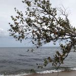 Schoolcraft Township Park