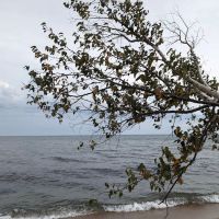 Schoolcraft Township Park ico