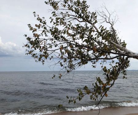 Schoolcraft Township Park