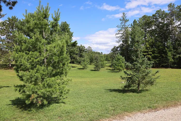 Camp Rivers Campground Picture 3