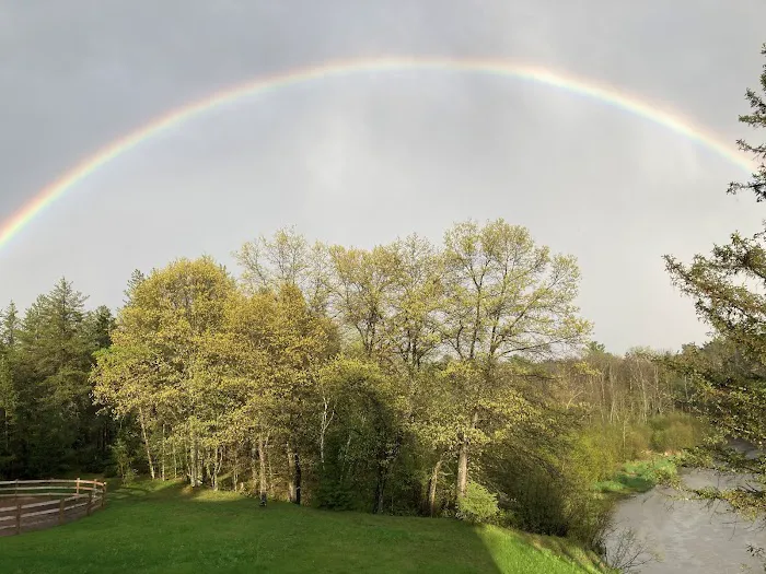 Camp Rivers Campground Picture 7