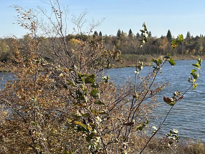 Bertram Chain of Lakes Campground Picture 8