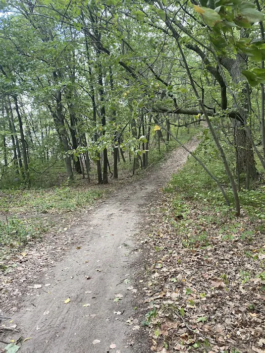 Collinwood Regional Park & Campground Picture 7