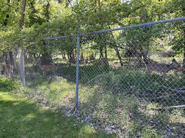 Masonic West River Campground Picture 9