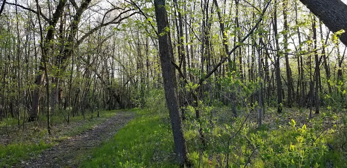 Piepenburg Campground Picture 3