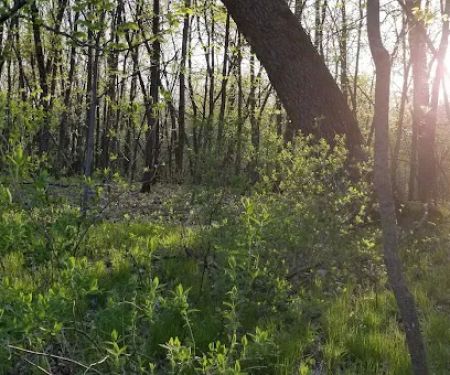 Piepenburg Campground