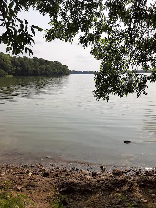 Lake Marion Campground Picture 4