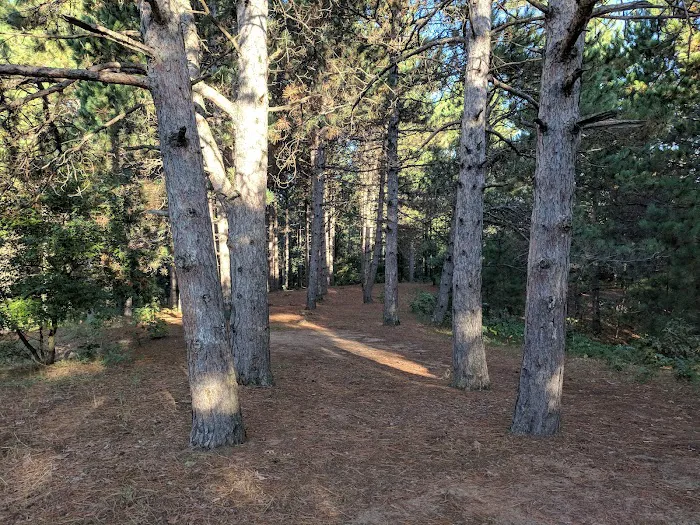 Ann Lake Campground Picture 7