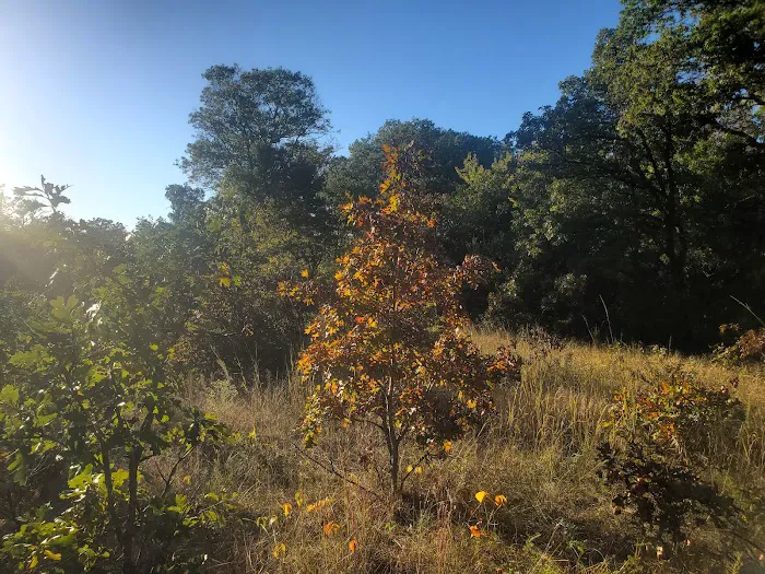 Ann Lake Campground Picture 6