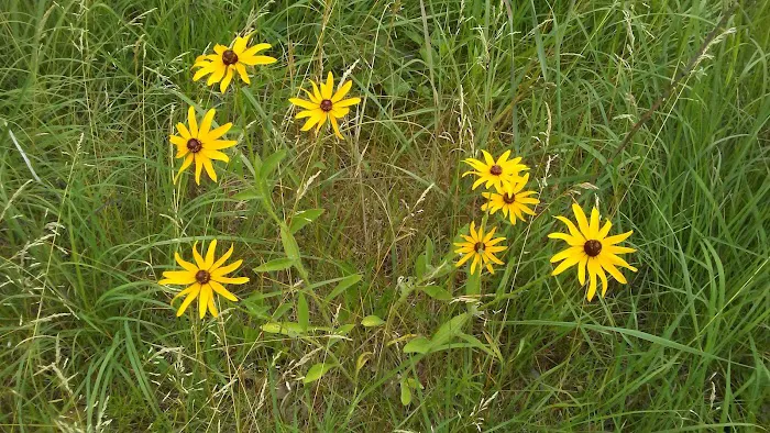 Ann Lake Campground Picture 10