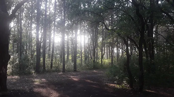 Ann Lake Campground Picture 4