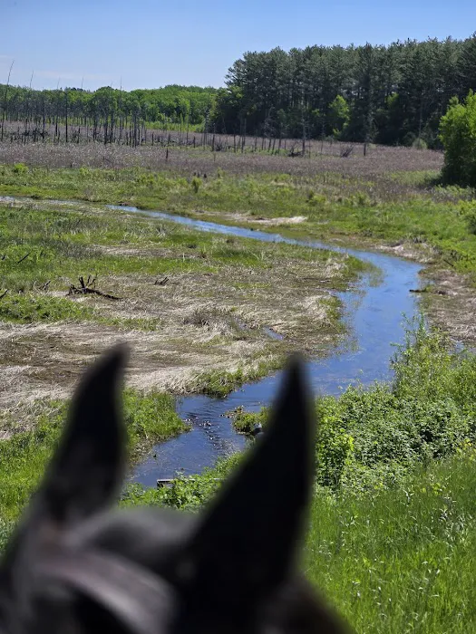 Bob Dun Horse Campground Picture 1