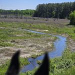Bob Dun Horse Campground