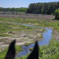 Bob Dun Horse Campground ico