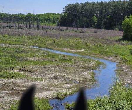 Bob Dun Horse Campground