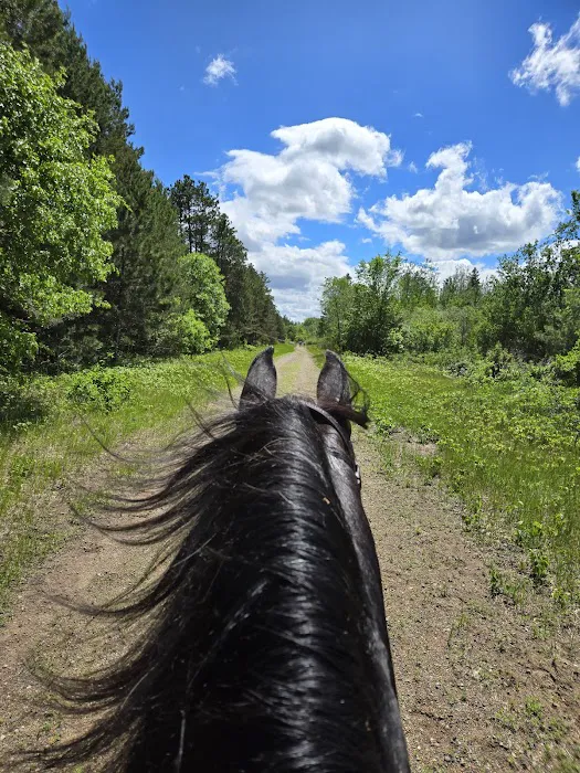 Bob Dun Horse Campground Picture 2