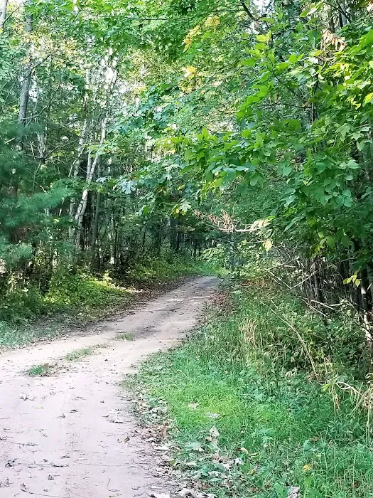 Springvale Campground Picture 9