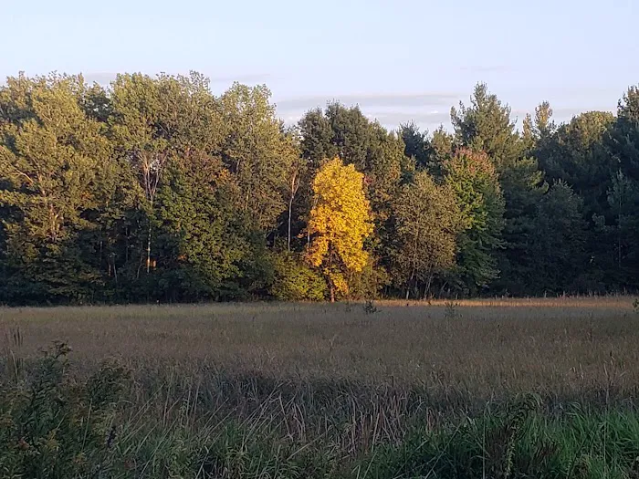 Springvale Campground Picture 2