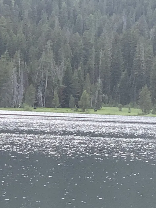 Bear Bottoms Watercraft Campsite Picture 1