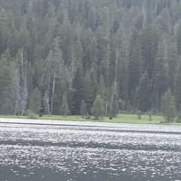 Bear Bottoms Watercraft Campsite ico