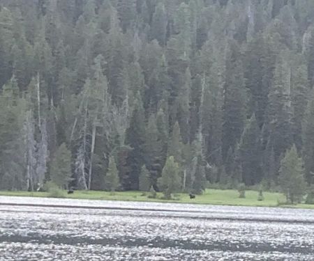 Bear Bottoms Watercraft Campsite