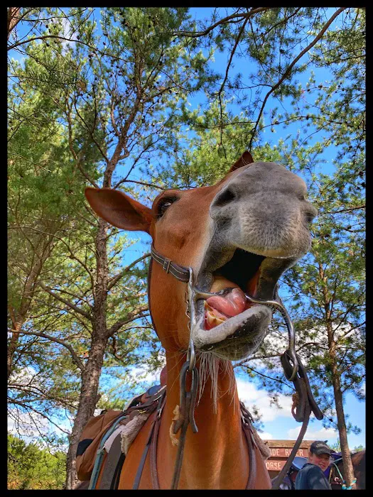 Trade River Equestrian Campground, Governor Knowles State Forest, WI Picture 2