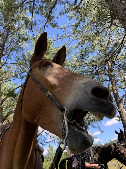 Trade River Equestrian Campground, Governor Knowles State Forest, WI Picture 1