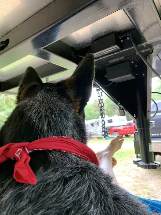 Trade River Equestrian Campground, Governor Knowles State Forest, WI Picture 4