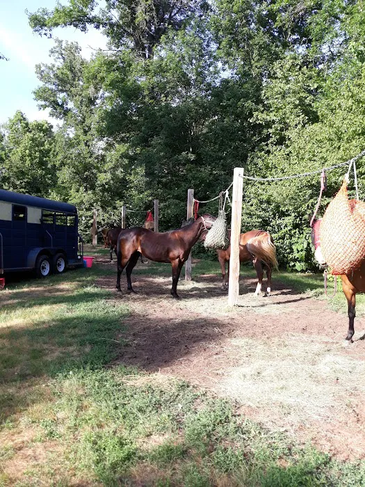 Trade River Equestrian Campground, Governor Knowles State Forest, WI Picture 6