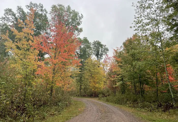 Saint Croix Pines Campground Picture 3