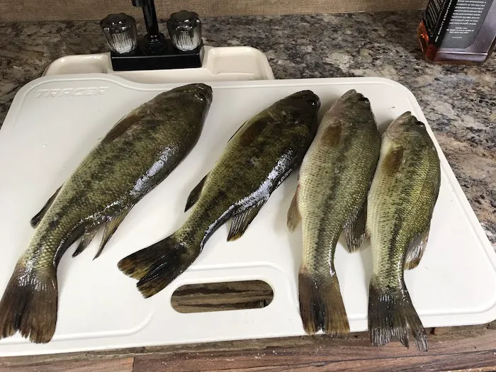 Benoit Lake Campgrounds Picture 6