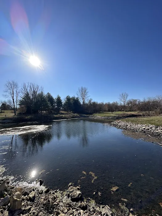 Littlefield Recreation Area Campground C Picture 9
