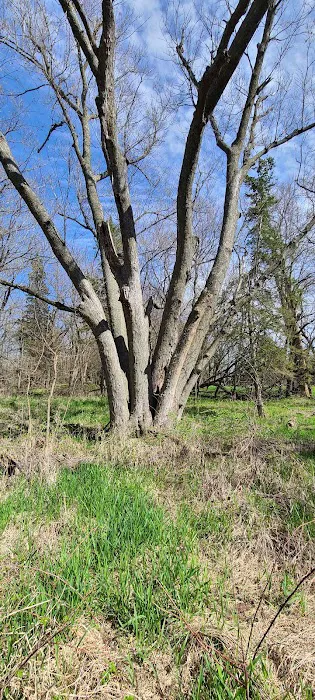 Green Valley State Park Campground Picture 5