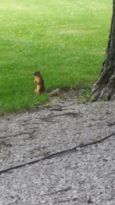 Island View Campground Picture 9