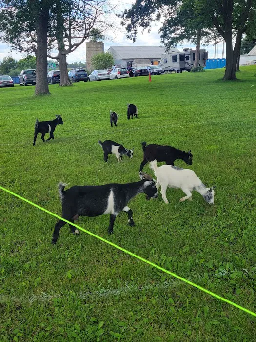 Minnesota River Valley Sanctuary Picture 6