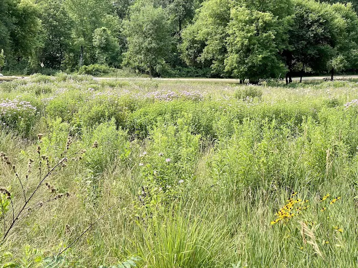 Beaver Falls County Park Picture 5
