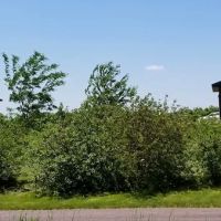 Browns Park South ico