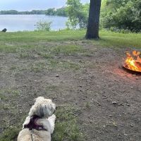 Loon Lake Campground ico
