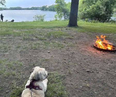 Loon Lake Campground