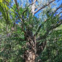 Burt Lake Campground and Wildlife Area ico