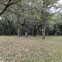 North Shelter Area Campground ico
