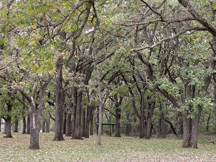 North Shelter Area Campground Picture 8