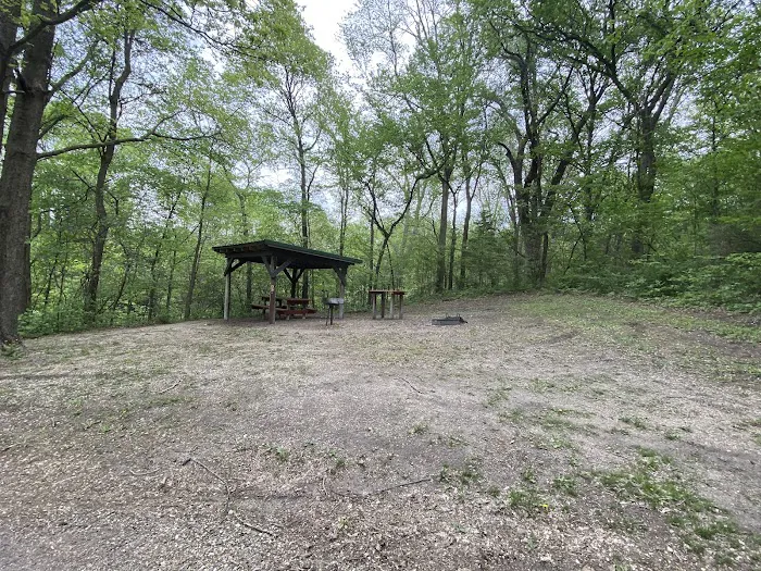 Martin Access Campground #3 Picture 6