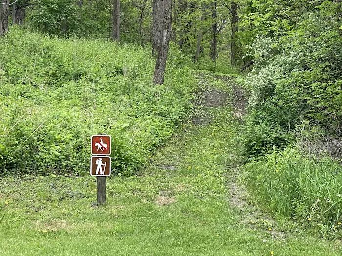 Martin Access Campground #3 Picture 2