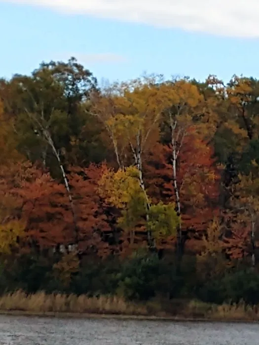 Brado Bayou Picture 1