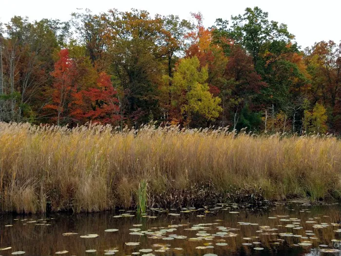 Brado Bayou Picture 5