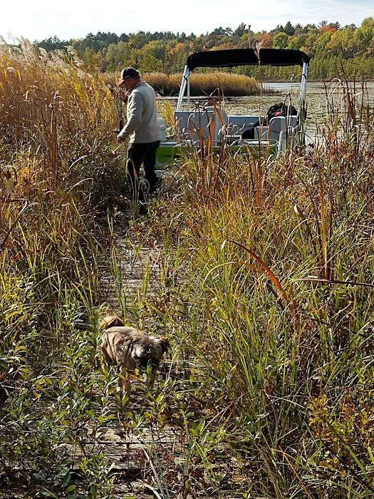 Brado Bayou Picture 6