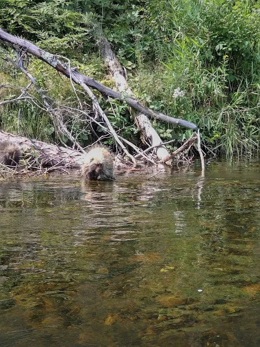 Trego Park and Campground Picture 4