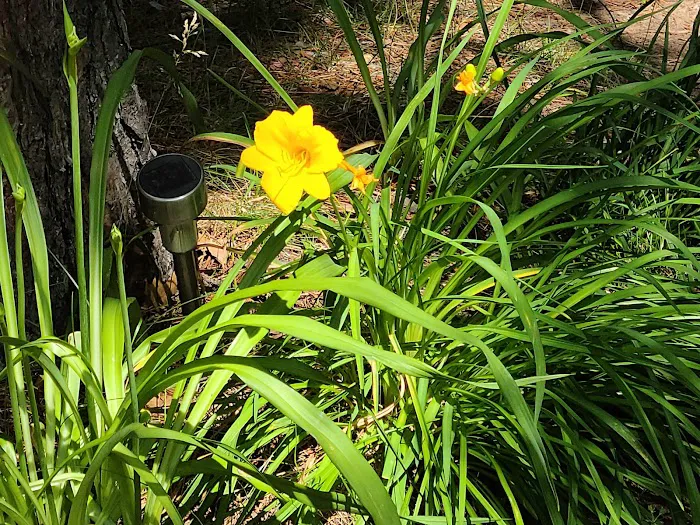 Trego Park and Campground Picture 6