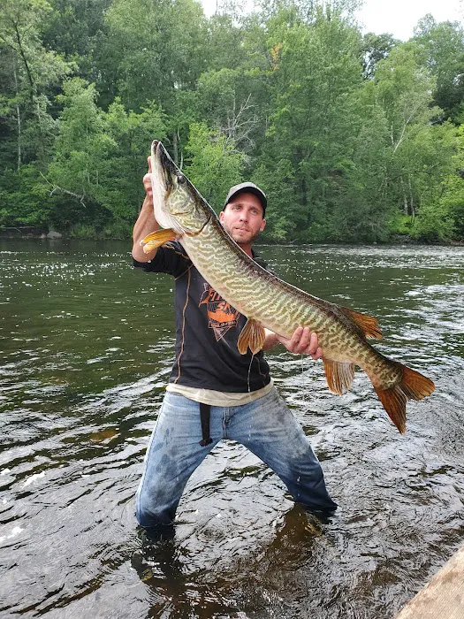 Bay Park Resort & Campground Picture 3